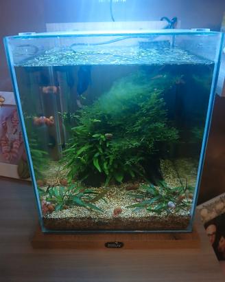 cubo 18 litri