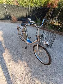 Bicicletta elettrica Positive 