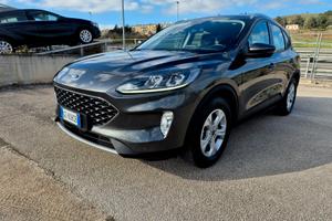FORD Kuga 3ª serie - 2021