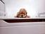Immagine 28