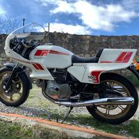 Splendide Ducati Pantah 500