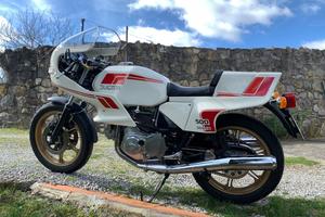 Splendide Ducati Pantah 500