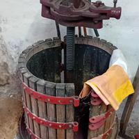 torchio e tini per fare il vino