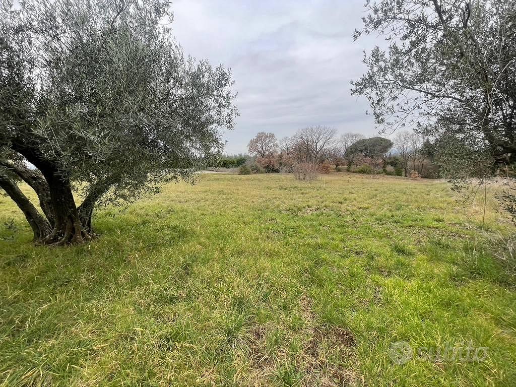 Terreno di 5000 m² a Viterbo - Vista 4