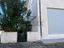 Immagine 7