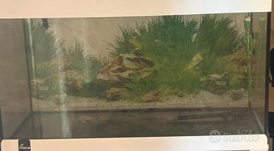 Acquario 300 litri