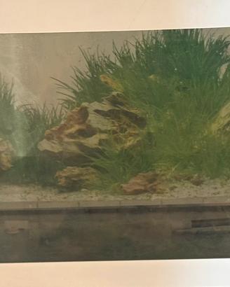 Acquario 300 litri
