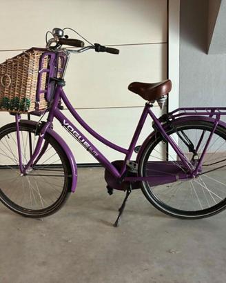 bicicletta da passeggio olandese
