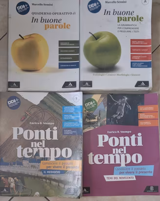 Libri di Testo Scuole Medie  grammatica  e storia