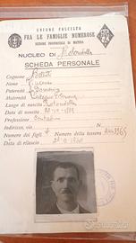 scheda famiglia numerosa 