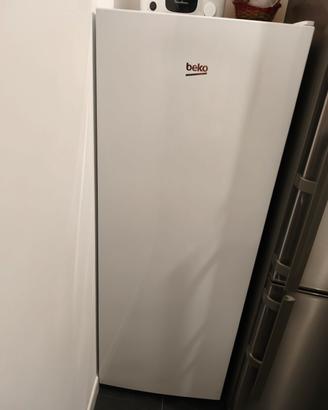 congelatore beko 