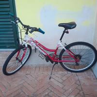 bicicletta donna