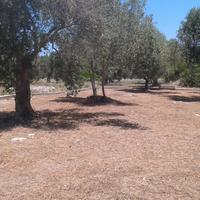 Terreno edificabile vicinanze mare