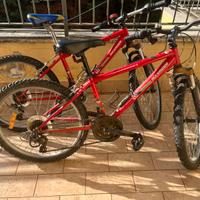 Rockrider MTB 24