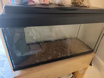 acquario usato