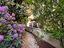 Immagine 23