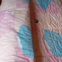 trapunta singola principesse 