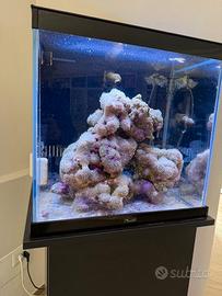 Acquario marino Aquatlantis 110 litri