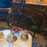 Bici elettrica Touring