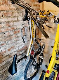 MTB Specialized Stumpjumper FSR