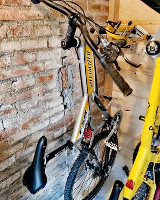 MTB Specialized Stumpjumper FSR