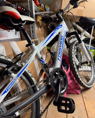 Bici bambino 20