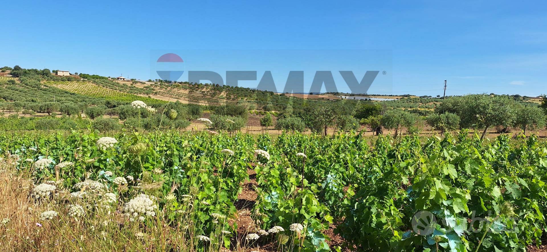 Terreno - Noto - Vista 2