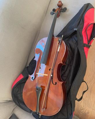 Violoncello Rialto II  misura 3/4 CV810