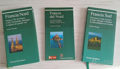 N.3 guide TCI Francia