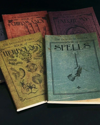 Harry Potter mini libri tematici (set da 5) | A5