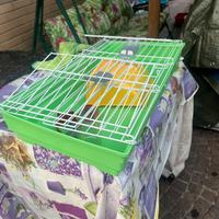 Gabbietta per criceto