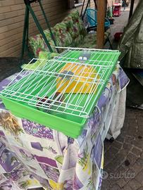 Gabbietta per criceto