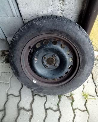 Gomme panda