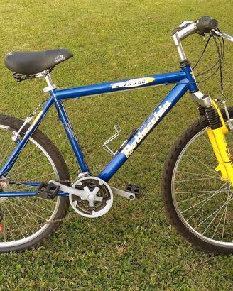 Mountain Bike Botteccchia