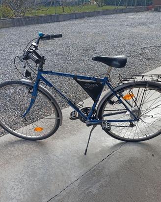 bicicletta Bianchi spillo