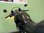 Immagine 14
