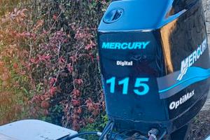 MERCURY OPTIMAX 115