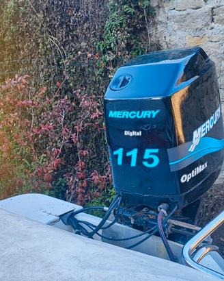 MERCURY OPTIMAX 115 RICAMBI