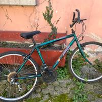 Bicicletta donna