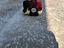 Immagine 5