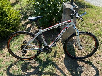 Due Mountain bike