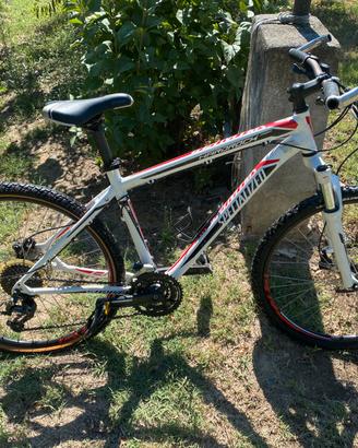 Due Mountain bike