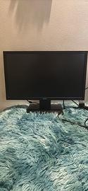 Monitor Acer 24 pollici
