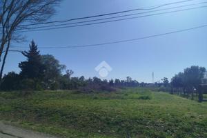 TER. AGRICOLO A TERRACINA