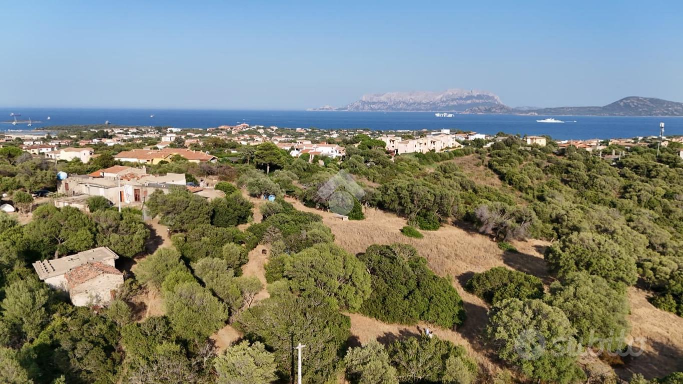 TERRENO A OLBIA - Vista 4