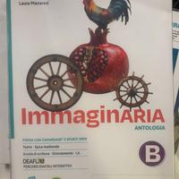 libro scolastico