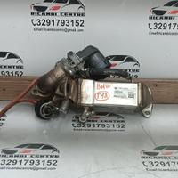 Refrigeratore radiatore valvola egr bmw x6 e71 20