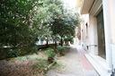 magazzino-a-roma