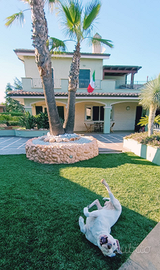 Villa Bifamiliare green, unica