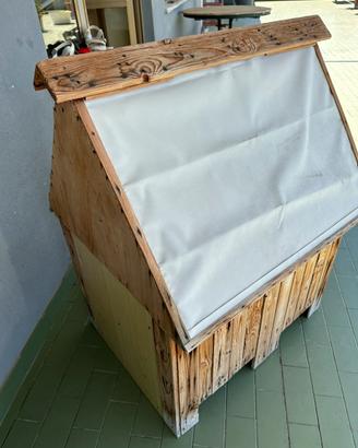Cuccia
